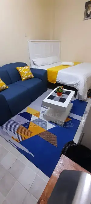 Studio Furnished South B