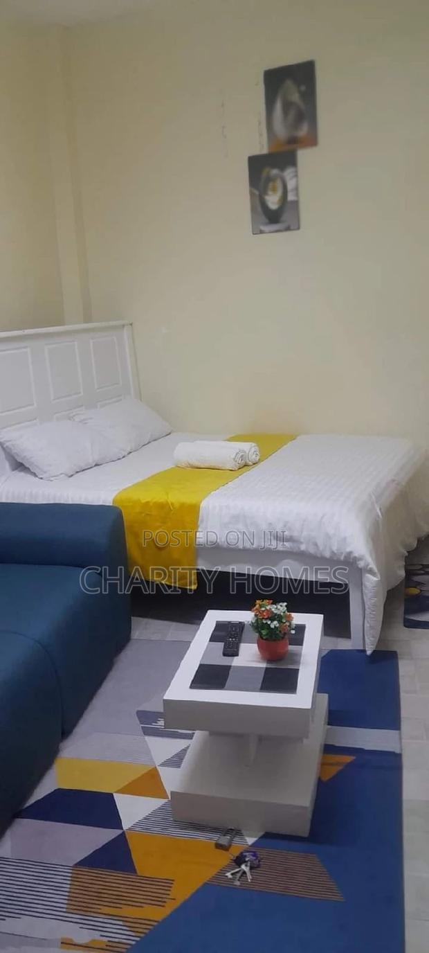 Studio Furnished South B - thumbnail 4