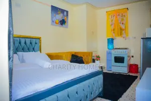 Furnished Studio Apartments in South B