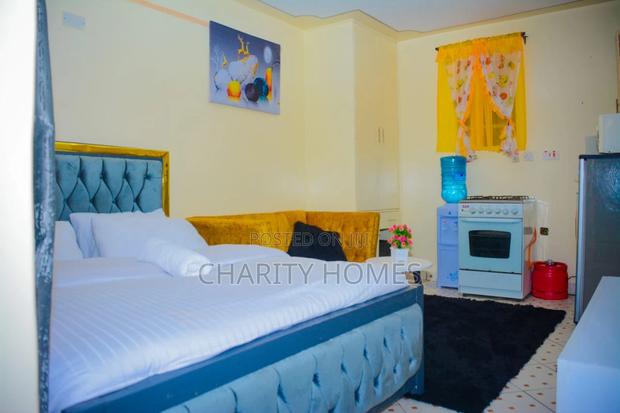 Furnished Studio Apartments in South B