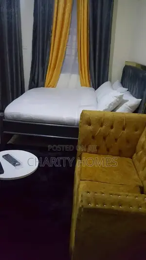 Furnished Studio Apartments in South B