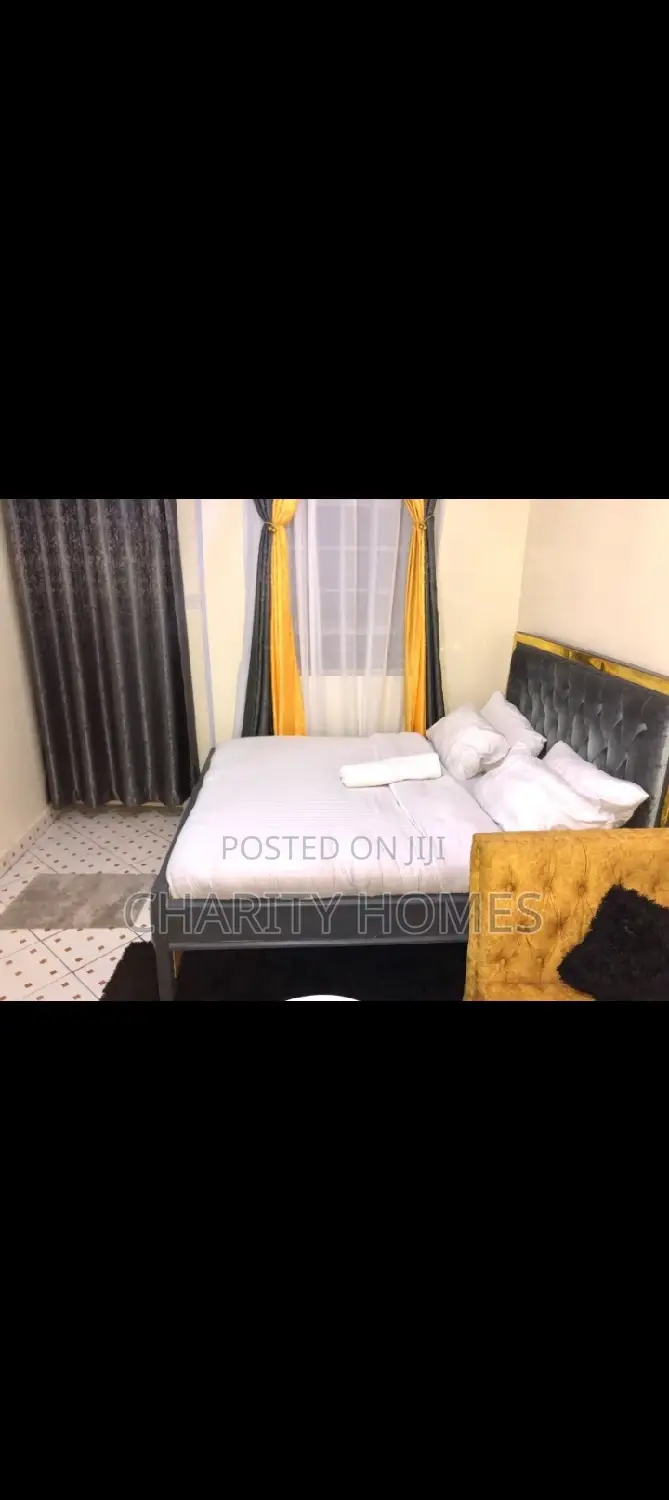Furnished Studio Apartments in South B
