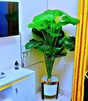 Furnished Studio Apartments in South B
