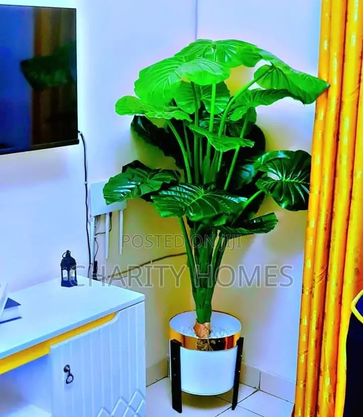 Furnished Studio Apartments in South B