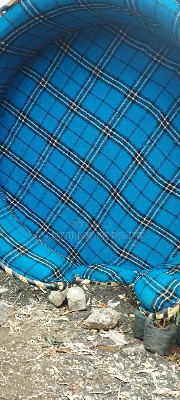 Blue Black Petbeds for Chiwawa Dogs at Home