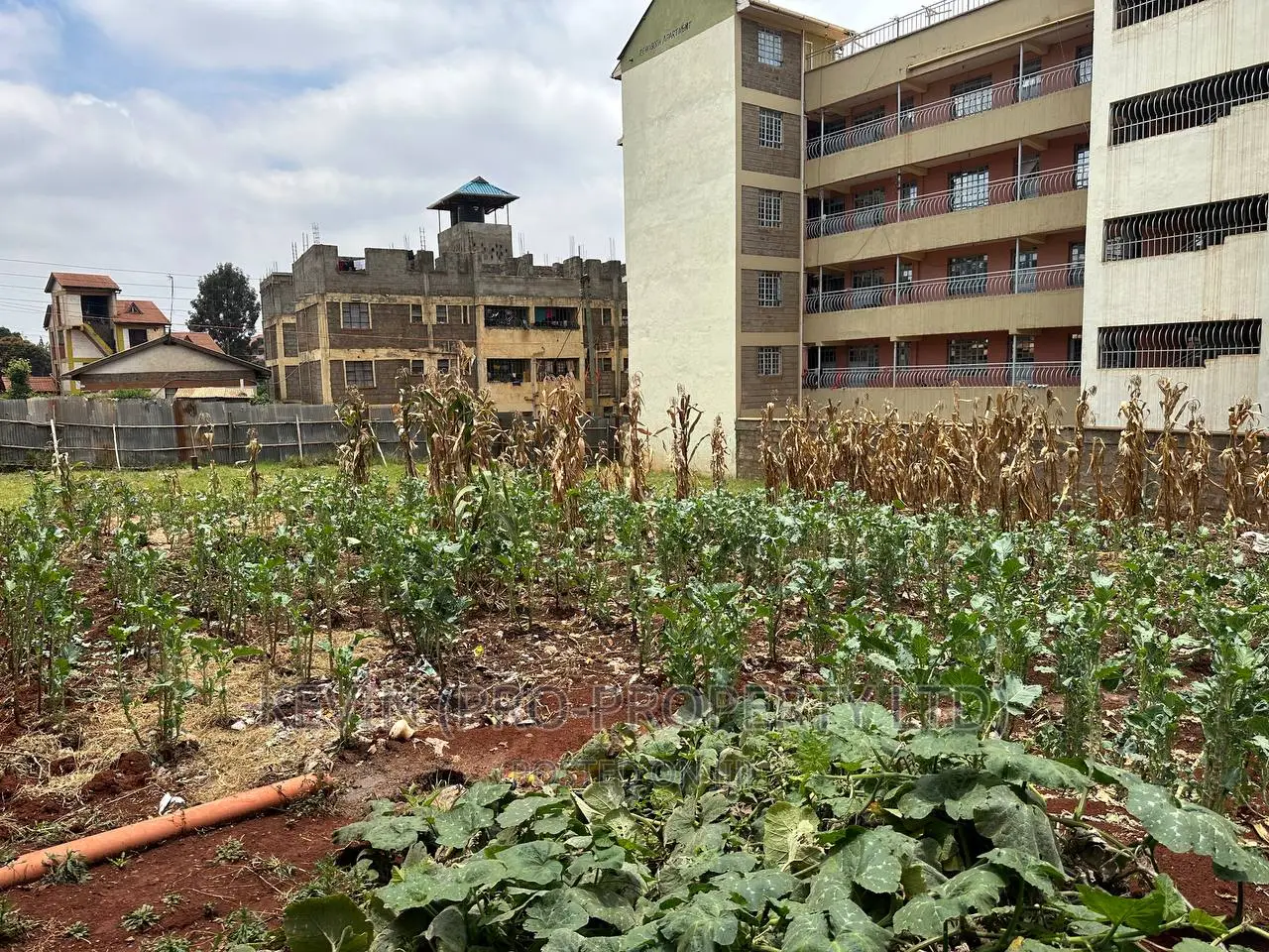 Commercial Plot for Sale in Kinoo, Regen
