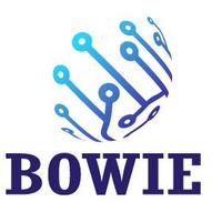 Bowie Gaming and Laptops logo