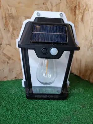 Solar Motion Sensor Wall Light