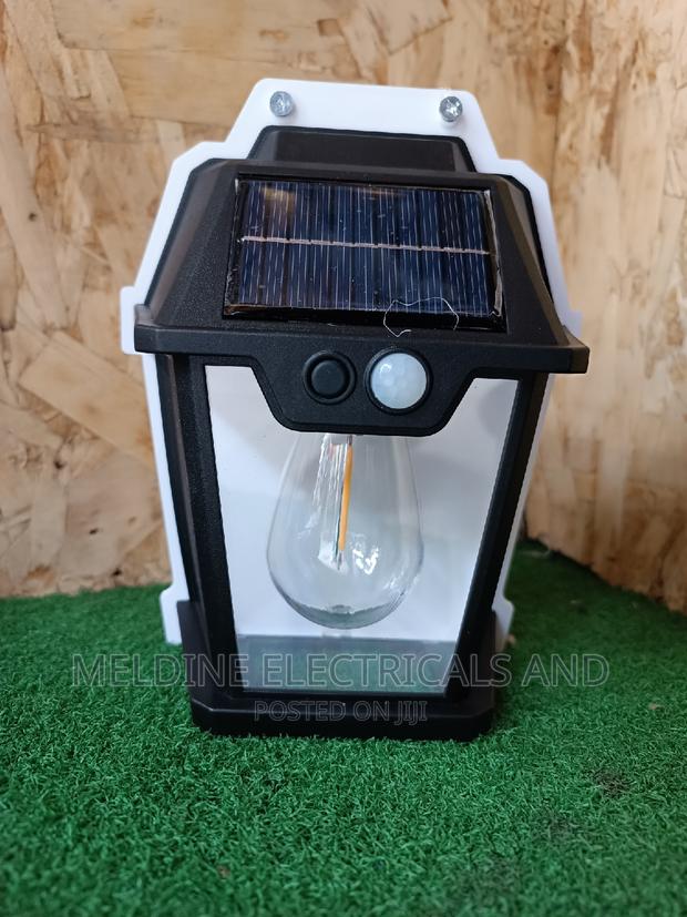 Solar Motion Sensor Wall Light