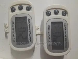 Digital Fridge Thermometer With Hook