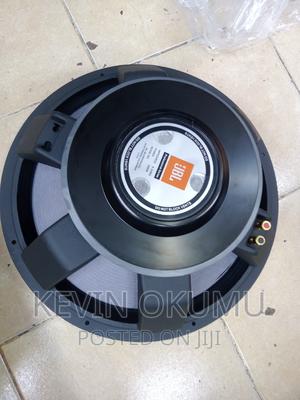 JBL 18" Naked Speaker