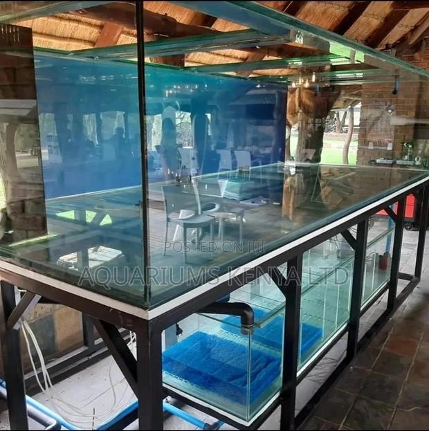 Big Aquarium Factory Kenya - main view
