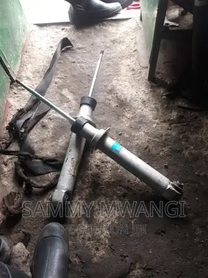 BMW E60 Raea Shocks for Ex Germany
