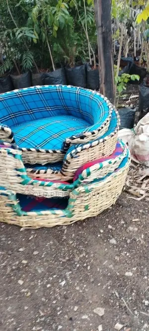 Maltese Sleeping Area,Pet Beds