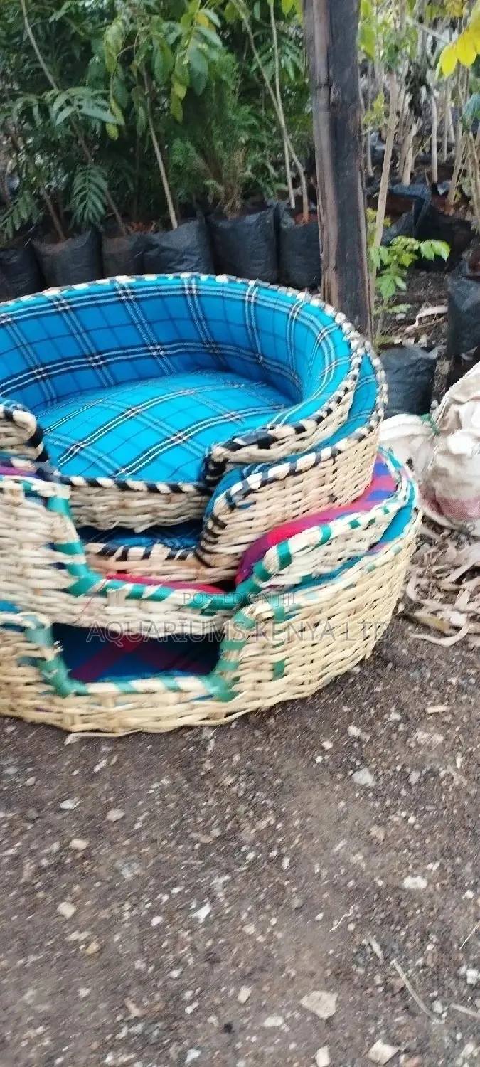 Maltese Sleeping Area,Pet Beds