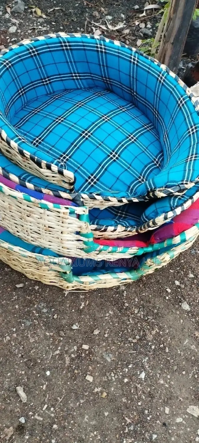 Blue,Pink,Red Colourful Petbeds,Pet Bed