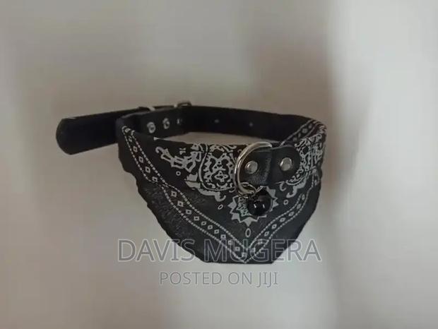 Multi Color Dog Scarf Collar Adjustable Soft Pet Collars - thumbnail 7