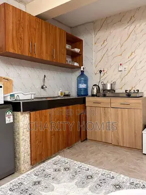 Furnished 1bdrm Bedsitter in Solace Park, South B for rent