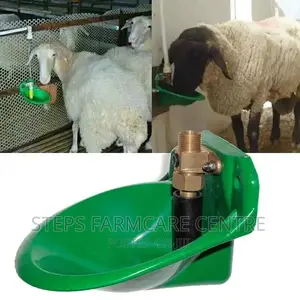 Goat Drinking Bowls