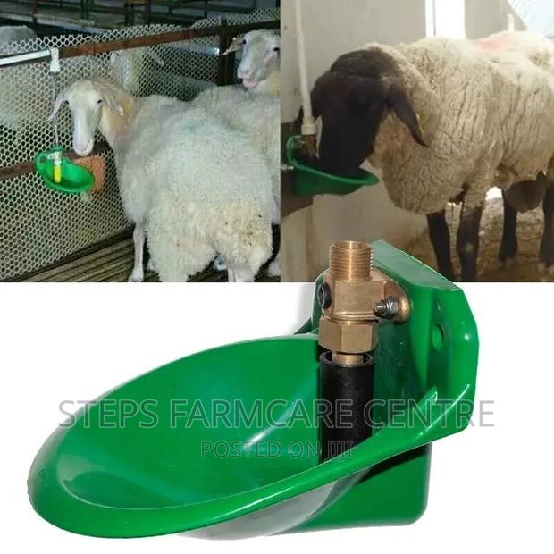 Goat Drinking Bowls - main view