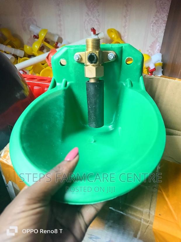 Goat Drinking Bowls - thumbnail 3