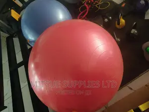 Yoga/Gym/ Swiss Ball 95cm