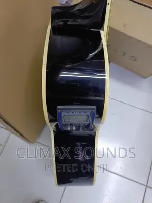 Semi Acoustic 40 Ibanezs