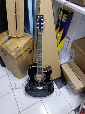 Semi Acoustic 40 Ibanezs