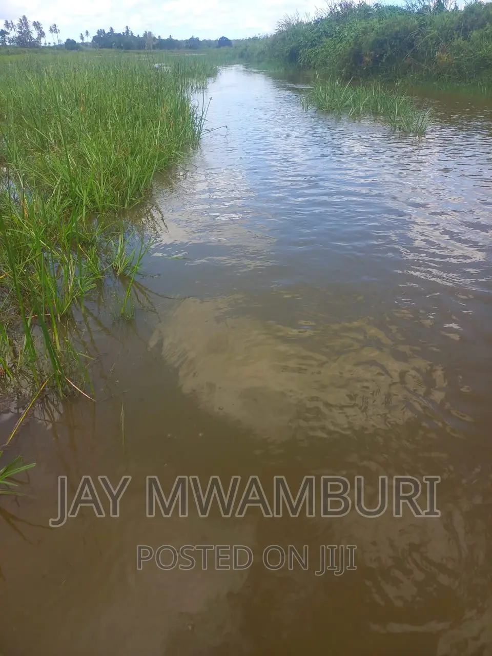 200 Acres Lango Baya Malindi