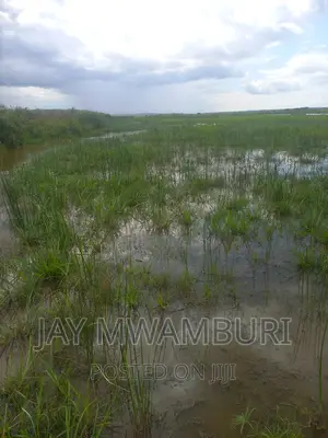 200 Acres Lango Baya Malindi