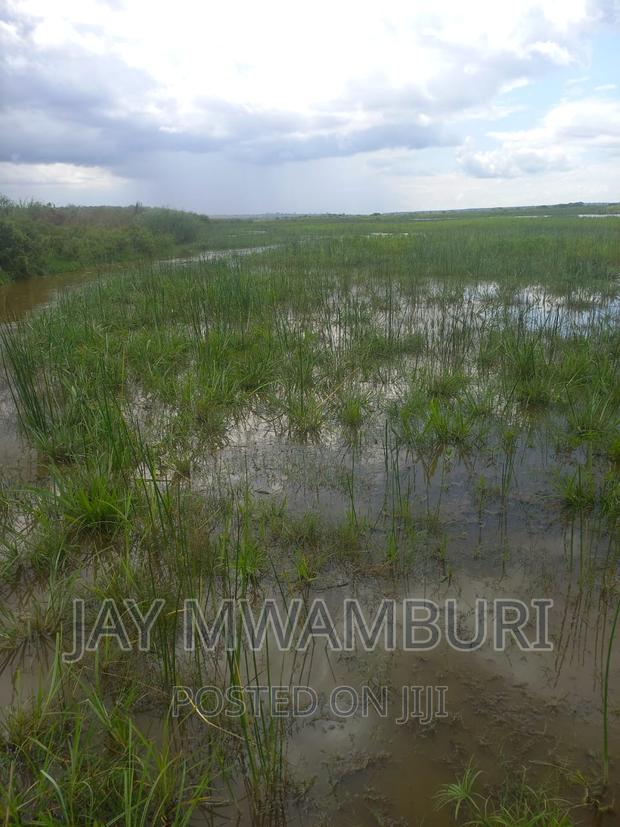 200 Acres Lango Baya Malindi - thumbnail 2