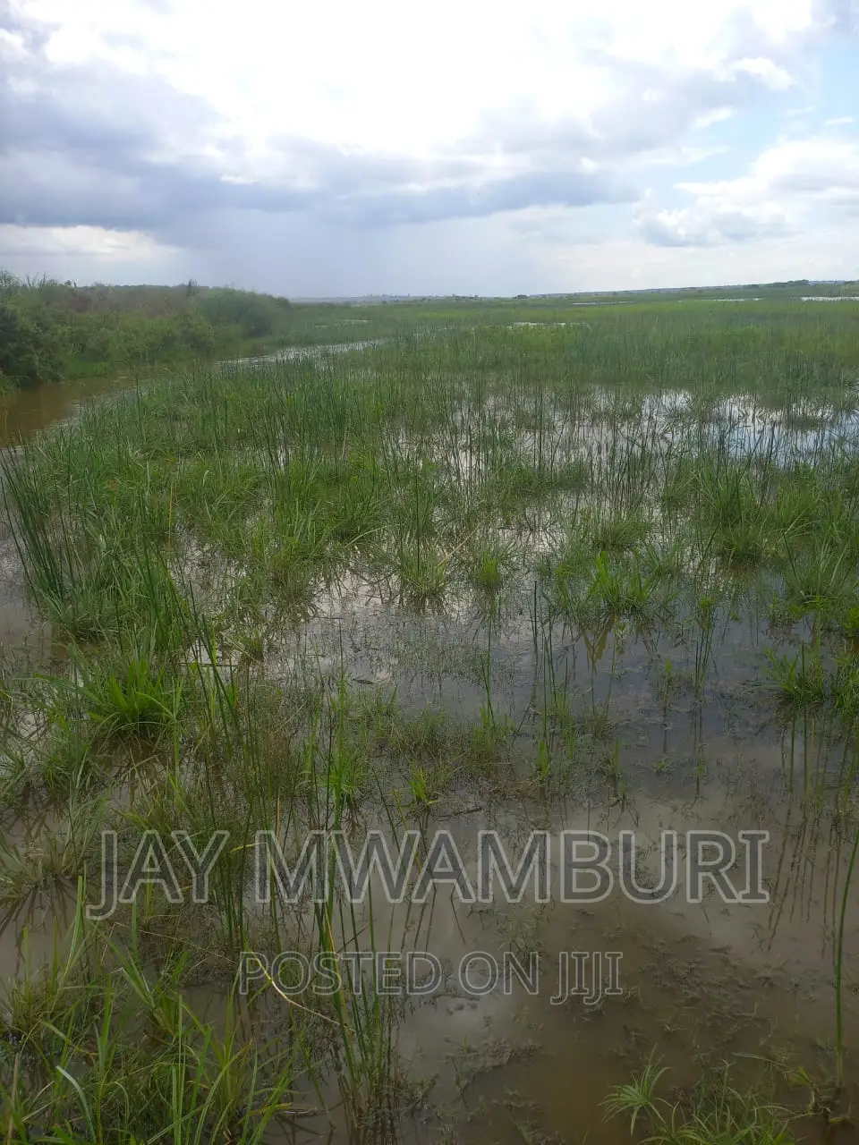 200 Acres Lango Baya Malindi