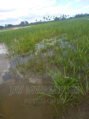 200 Acres Lango Baya Malindi
