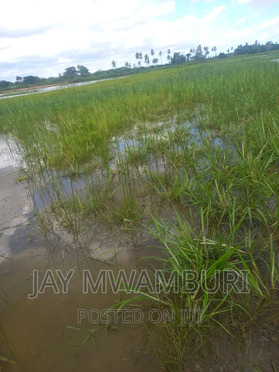200 Acres Lango Baya Malindi