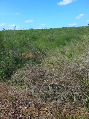 200 Acres Lango Baya Malindi