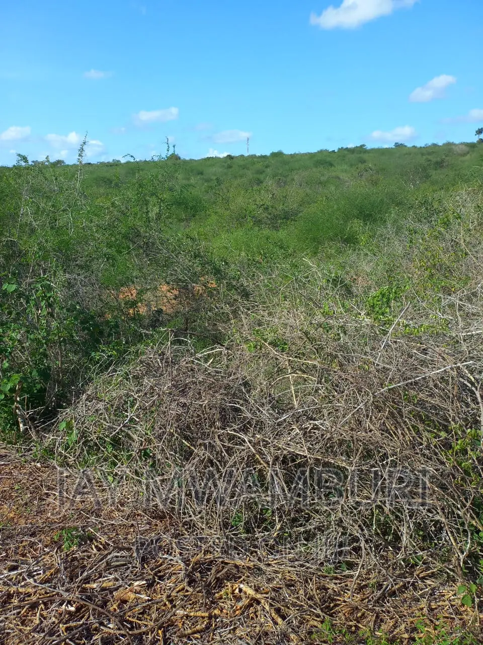 200 Acres Lango Baya Malindi