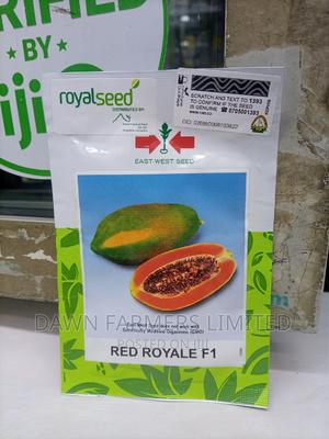 Red Royal F1 10 Seeds