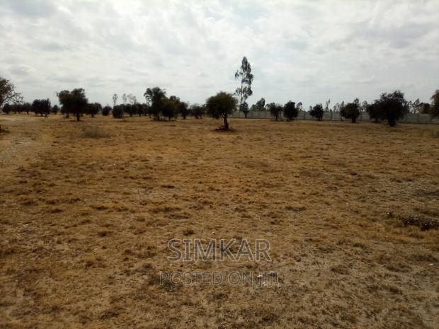 25 Acres of Land for Sale in Kisaju - thumbnail 17