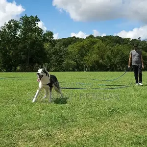 Puppy Obedience Recall Training Agility Dog Training Leash