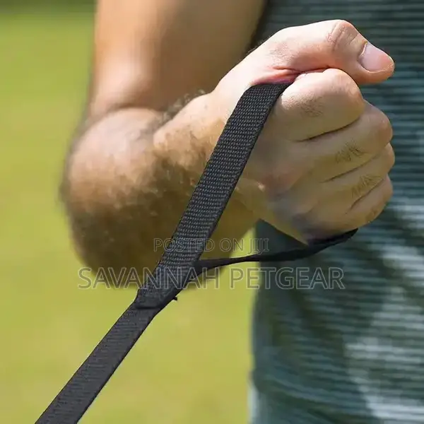 Puppy Obedience Recall Training Agility Dog Training Leash