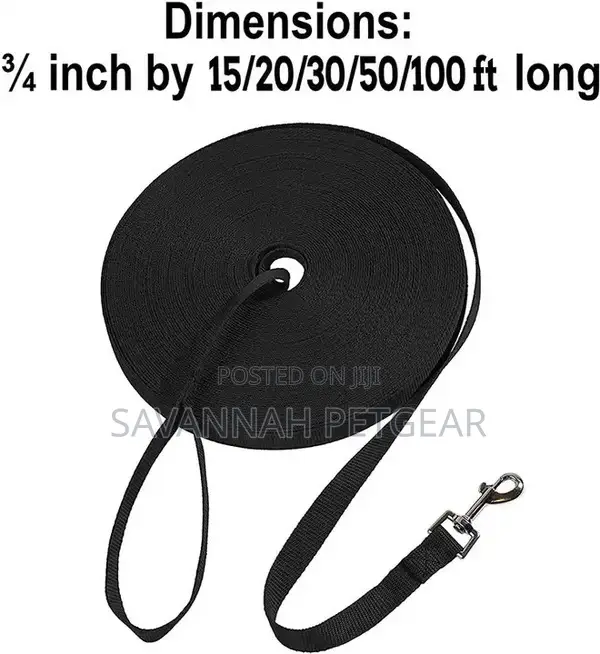 Puppy Obedience Recall Training Agility Dog Training Leash