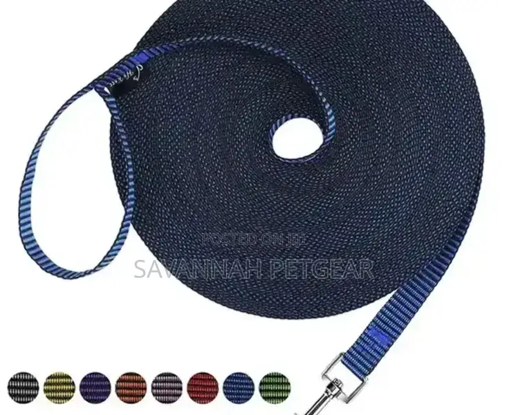Puppy Obedience Recall Training Agility Dog Training Leash