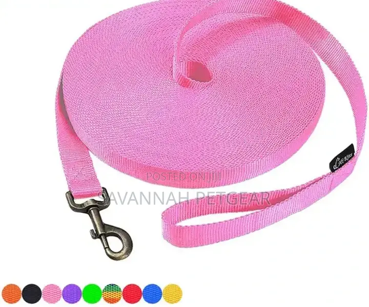 Puppy Obedience Recall Training Agility Dog Training Leash