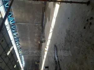 Smooth Plastering and Good Molding