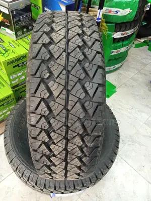 31x10.50R15LT Petromax All-Terrain