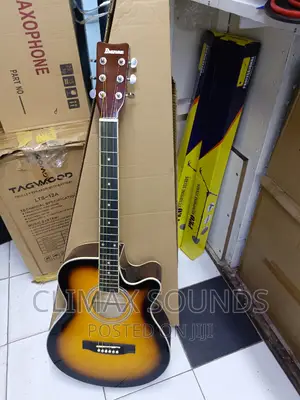 Acoustic Guitar Ibanez 40"S