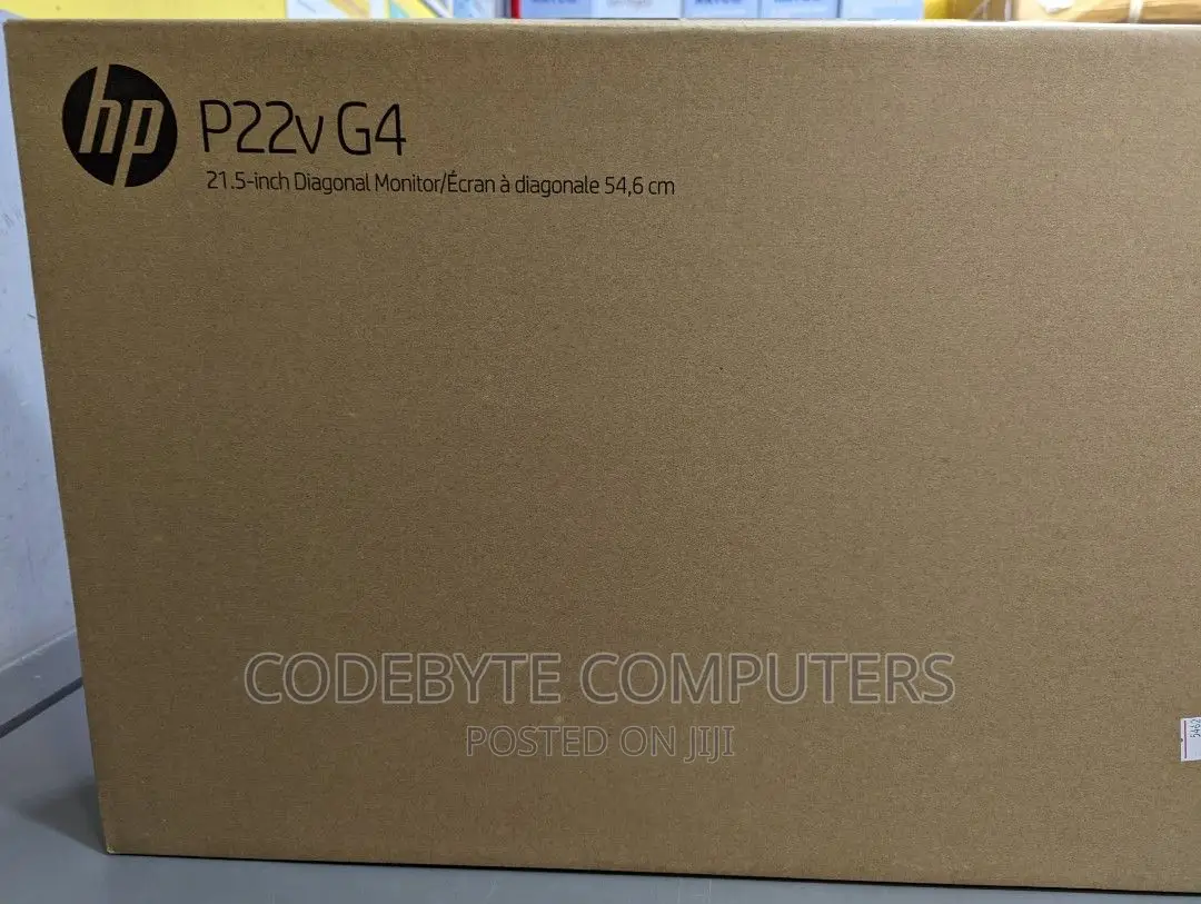 HP P22v G4 21.5 FHD Monitor