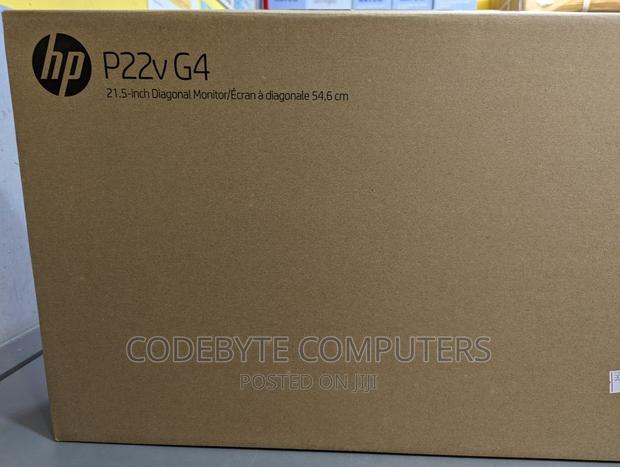 HP P22v G4 21.5 FHD Monitor