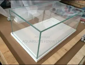 Glass-enclosed Display Case