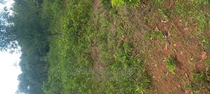 Ugenya Uholo - thumbnail 2